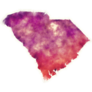Flower South Carolina State Usa Watercolor Sticker