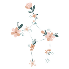 Flower Virgo Zodiac Sign Constellation Sticker