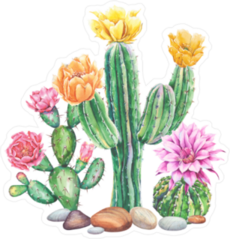 Flowering Cactus Collection Sticker