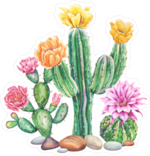 Flowering Cactus Collection Sticker