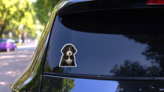 Fluffy Bernese Pup Sticker on a Rear Car Window (New) example