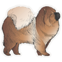 Fluffy Chow Chow Sticker