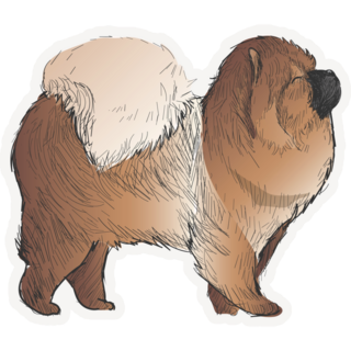 Fluffy Chow Chow Sticker
