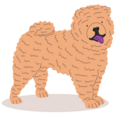 Fluffy Chow Dog Sticker 
