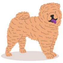 Fluffy Chow Dog Sticker 