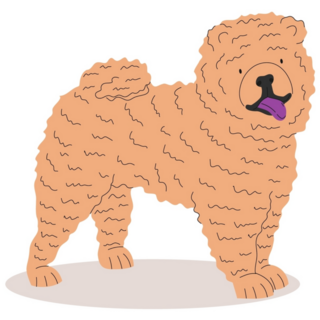 Fluffy Chow Dog Sticker 