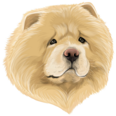 Fluffy Chow Head Sticker