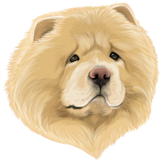 Fluffy Chow Head Sticker