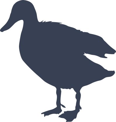 Fluffy Duck Sticker