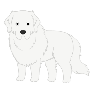 Fluffy Great Pyrenees Sticker
