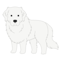 Fluffy Great Pyrenees Sticker
