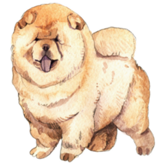 Fluffy Watercolor Chow Sticker