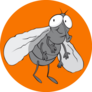 Fly Cartoon On Orange Sticker
