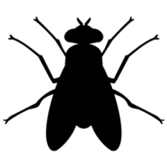 Fly Icon Silhouette Sticker