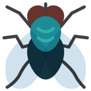 Fly Insect Flat Icon Sticker