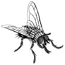 Fly Sketch Insect Hand Drawn Sticker