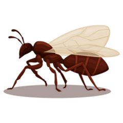 Flying Ant Animal Species Cartoon Sticker