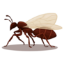 Flying Ant Animal Species Cartoon Sticker