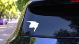 Flying Bat Sticker on a Rear Car Window (New) example