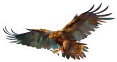 Flying Eagle Drawing Sticker