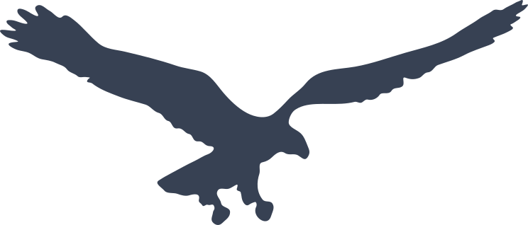 Flying Eagle Sticker