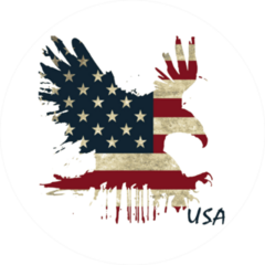 Flying Eagle USA Flag Background Sticker