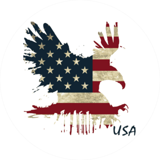 Flying Eagle USA Flag Background Sticker