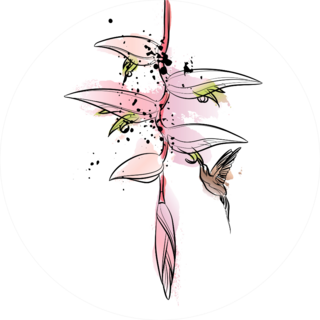 Flying Hummingbird And Tropical Flower Illustration Sticker