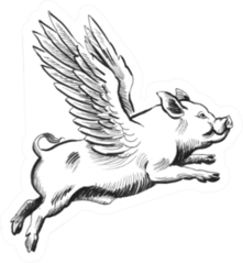 Flying Pig Sketch Sticker