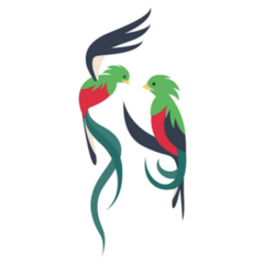 Flying Quetzal Birds Sticker
