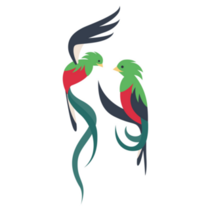 Flying Quetzal Birds Sticker
