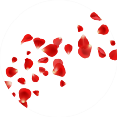 Flying Rose Petals Sticker