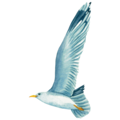 Flying Sky Seagull Sticker