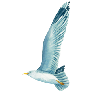 Flying Sky Seagull Sticker