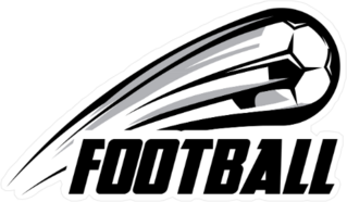 Flying Soccer Ball Football Logo Sticker