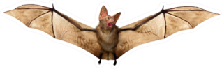 Flying Vampire Bat Sticker