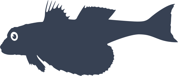 Flyinh Burnard Fish Sticker