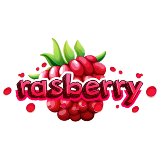 Font Design With Word Rasberry Illustration