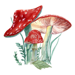 Forest Art Print With Red Amanita Mushroom Watercolor Sticker
