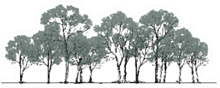 Forest Background Sketch Landscaping Sticker