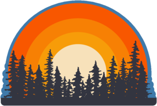 Forest Landscape Trees Silhouettes With Sunset On Background. 