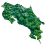 Forest Map Costa Rica Sticker