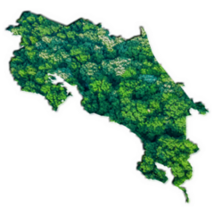 Forest Map Costa Rica Sticker