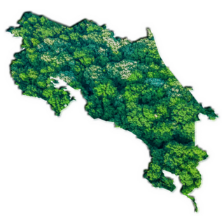 Forest Map Costa Rica Sticker
