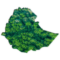 Forest Map Ethiopia Sticker