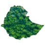 Forest Map Ethiopia Sticker