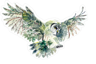 Forest Owl Sticker