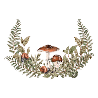Forest Plants And Mushrooms Botanical Watercolor Sticker