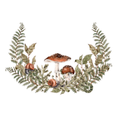 Forest Plants And Mushrooms Botanical Watercolor Sticker