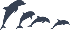 Four Dolphins Diving Sticker